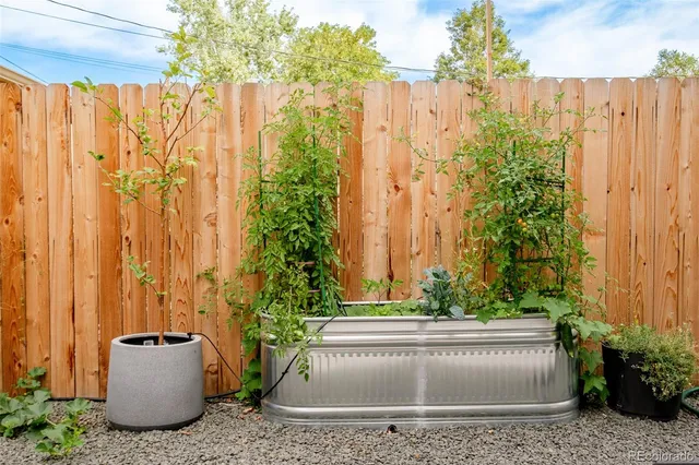 a view of a potted plants in front of door