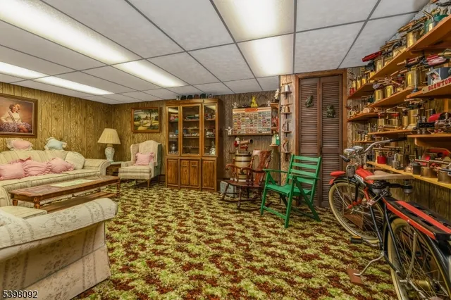 a room with lots of furniture and a rug