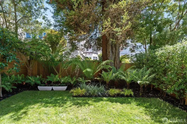 a view of a garden with plants