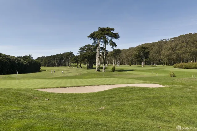 an aerial view of mountain with trees in all around