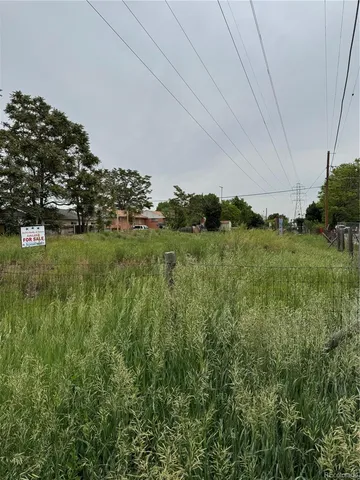 a view of a big yard with plants and a tree