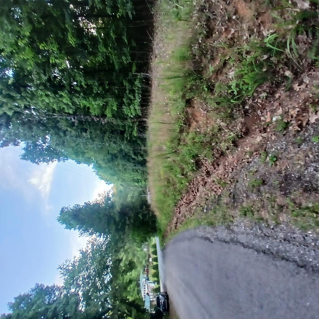 Tr'3 Raven Cliff Road Talking Rock, GA 30175 - Photo 1 of 7 Main View