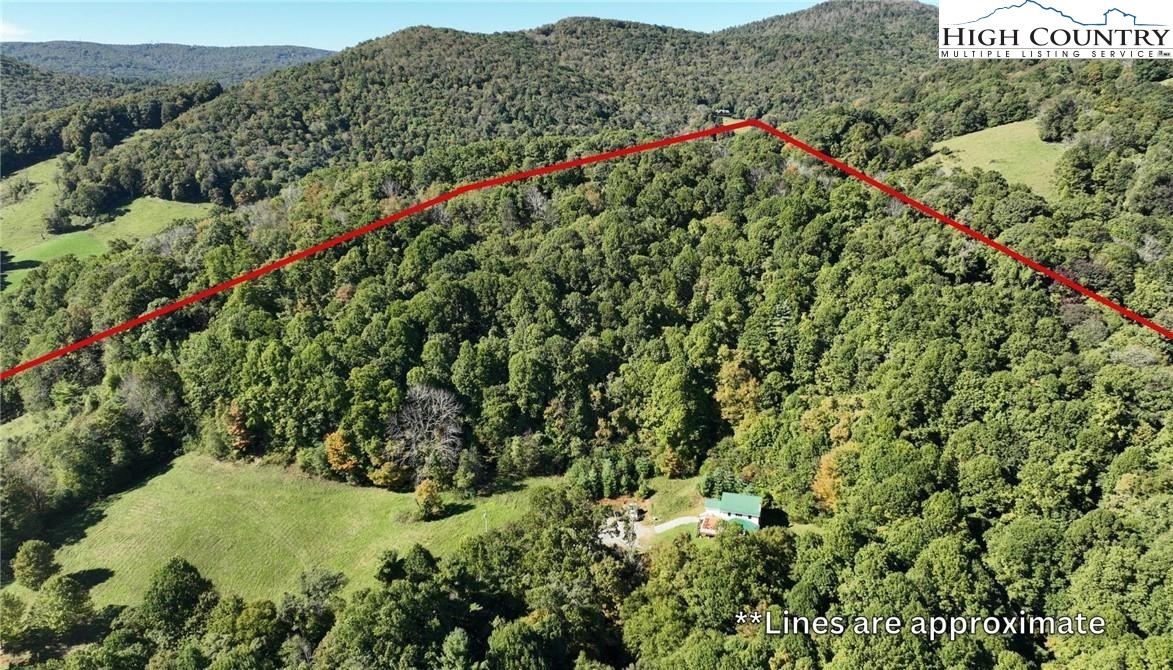480 Lee South Road Boone, NC 28607 - Photo 42 of 42