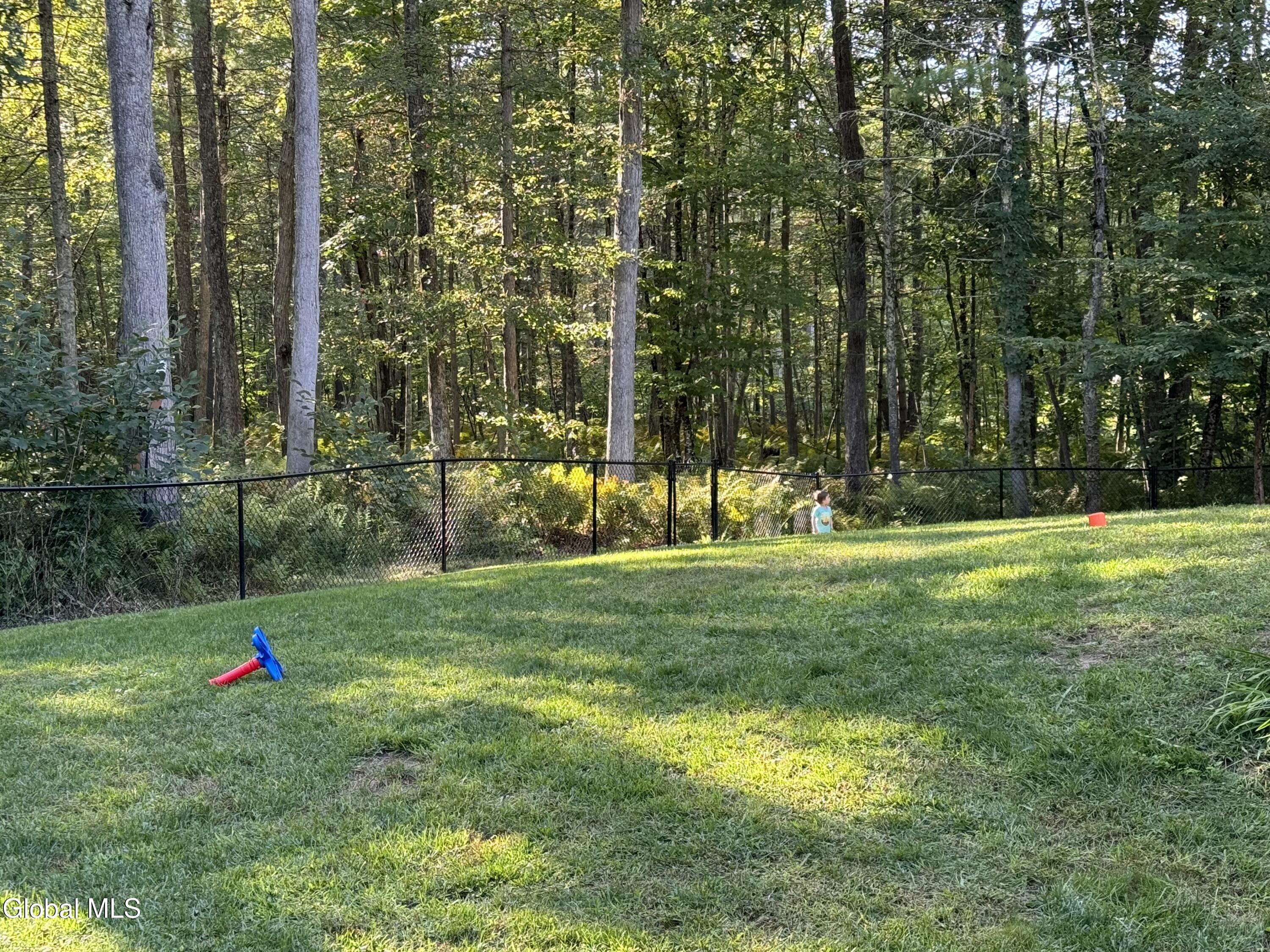 141 Ruggles Road Wilton, NY 12866 - Photo 49 of 51 IMG_1264 (1)