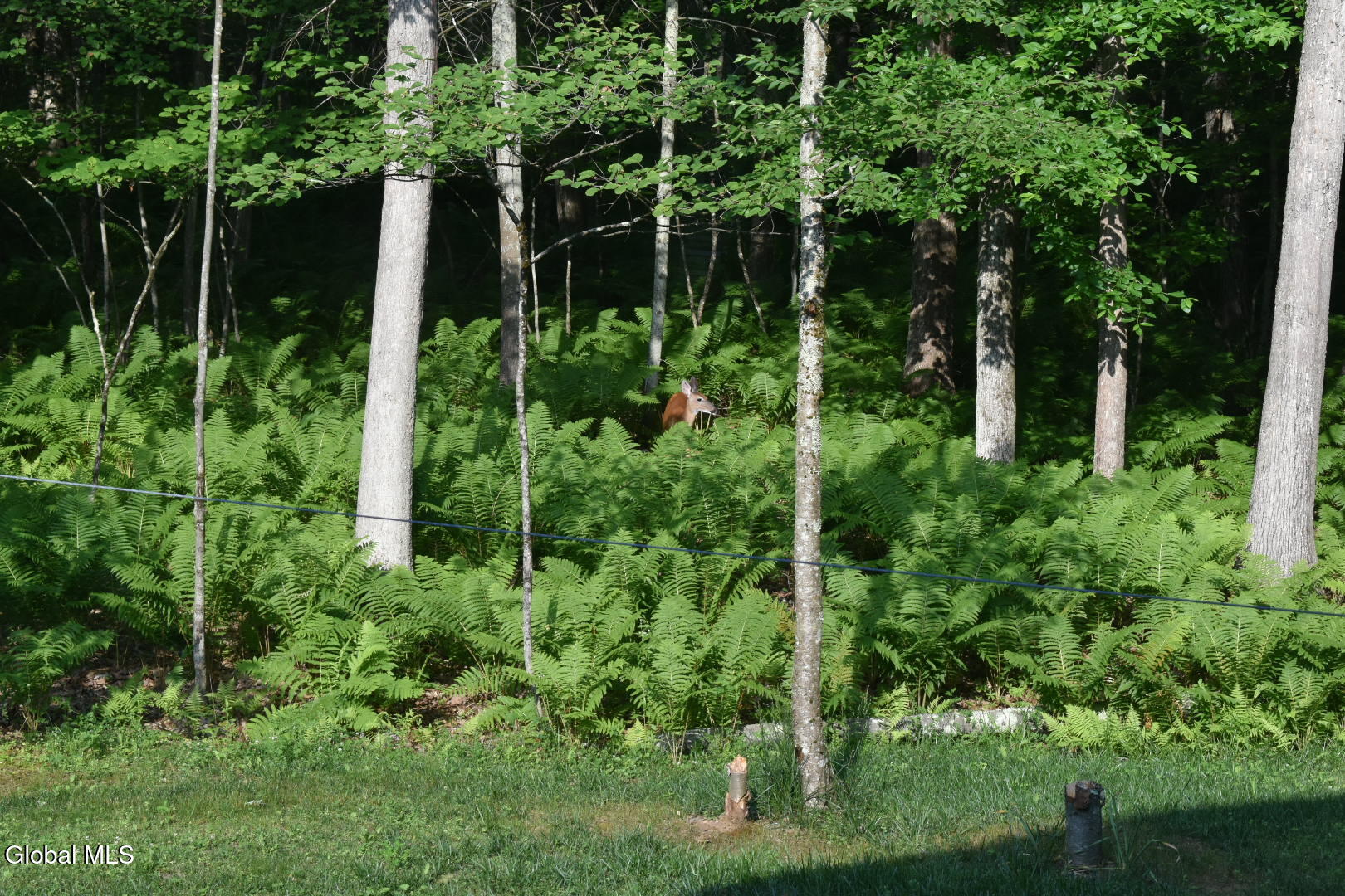 141 Ruggles Road Wilton, NY 12866 - Photo 50 of 51 DSC_0740