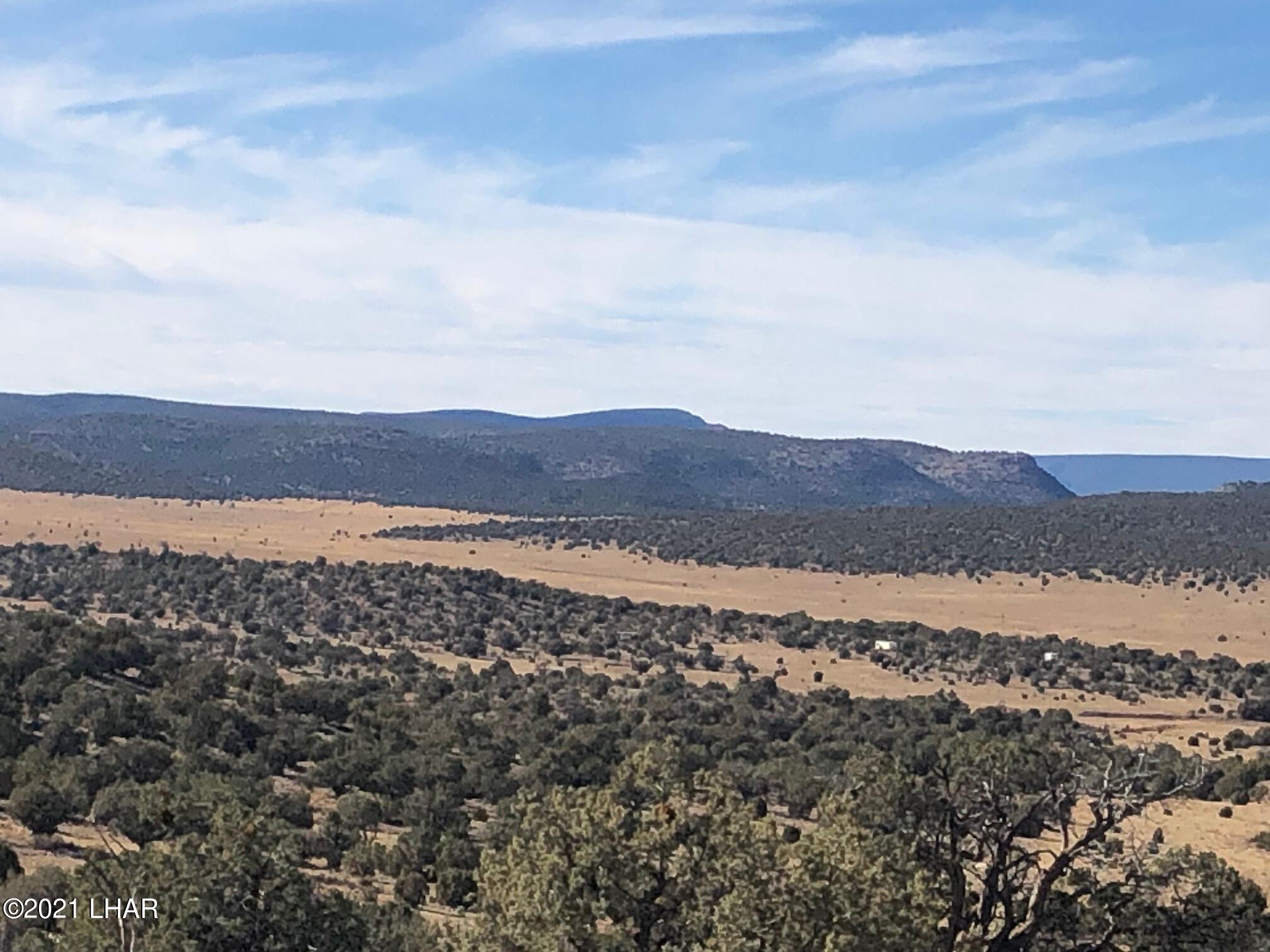 121.5 Greenview Ranch Seligman, AZ 86337 - Photo 1 of 24 IMG_7554