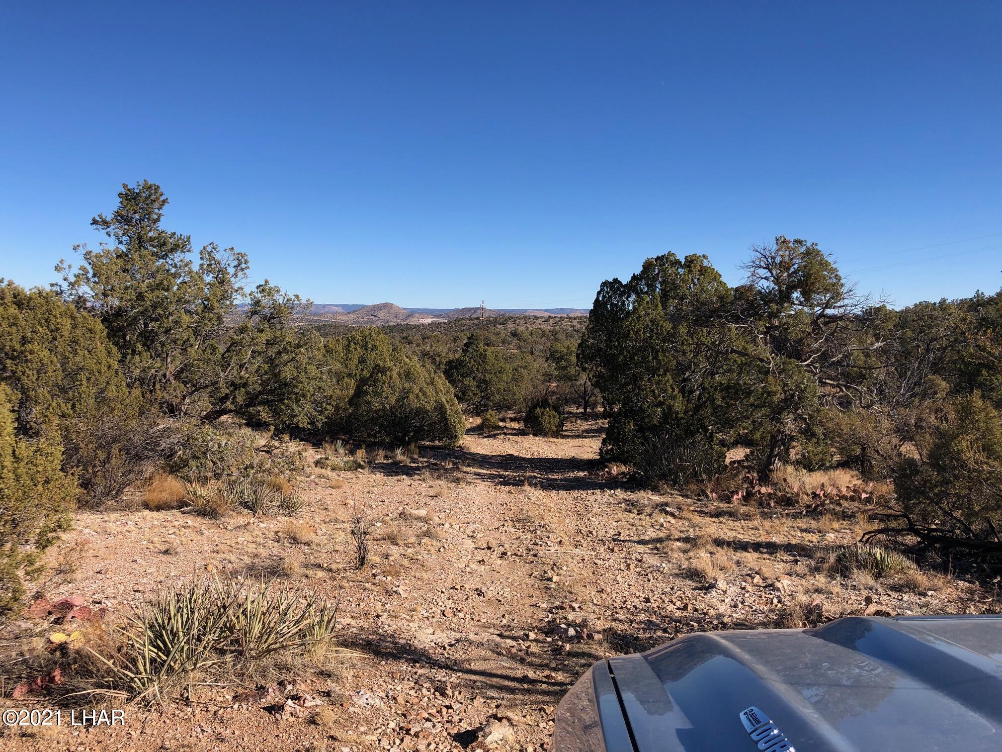 121.5 Greenview Ranch Seligman, AZ 86337 - Photo 11 of 24 IMG_7533