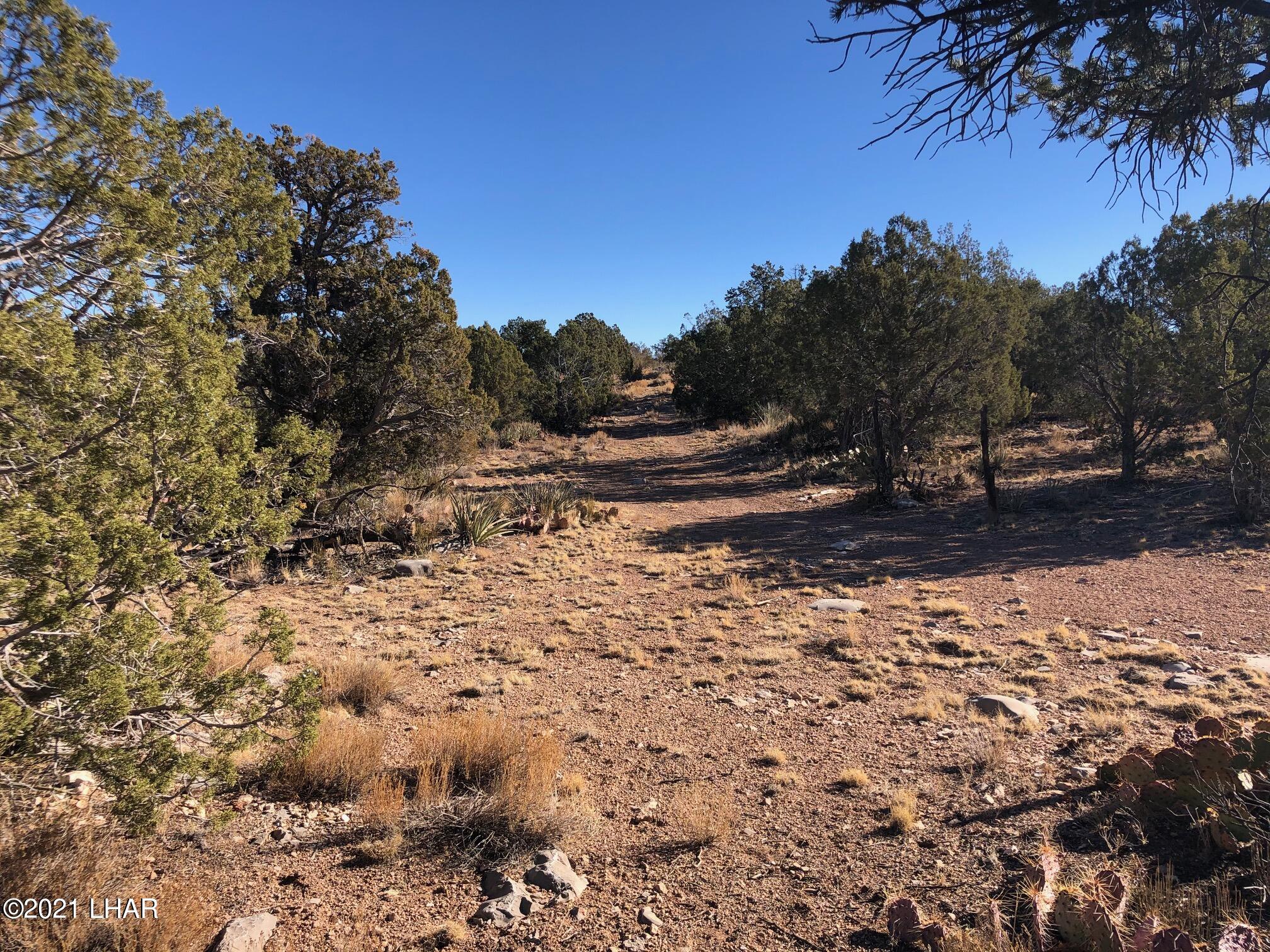 121.5 Greenview Ranch Seligman, AZ 86337 - Photo 12 of 24 IMG_7542