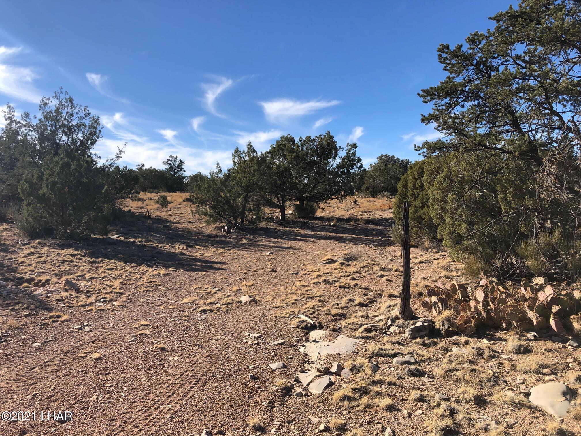 121.5 Greenview Ranch Seligman, AZ 86337 - Photo 13 of 24 IMG_7543