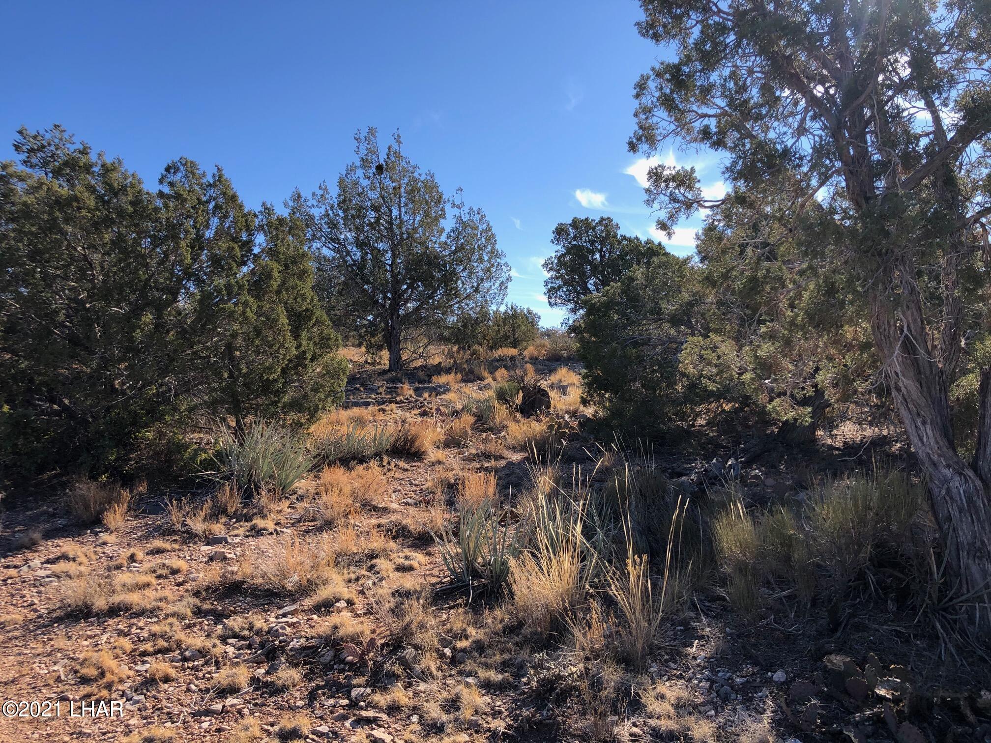 121.5 Greenview Ranch Seligman, AZ 86337 - Photo 14 of 24 IMG_7544