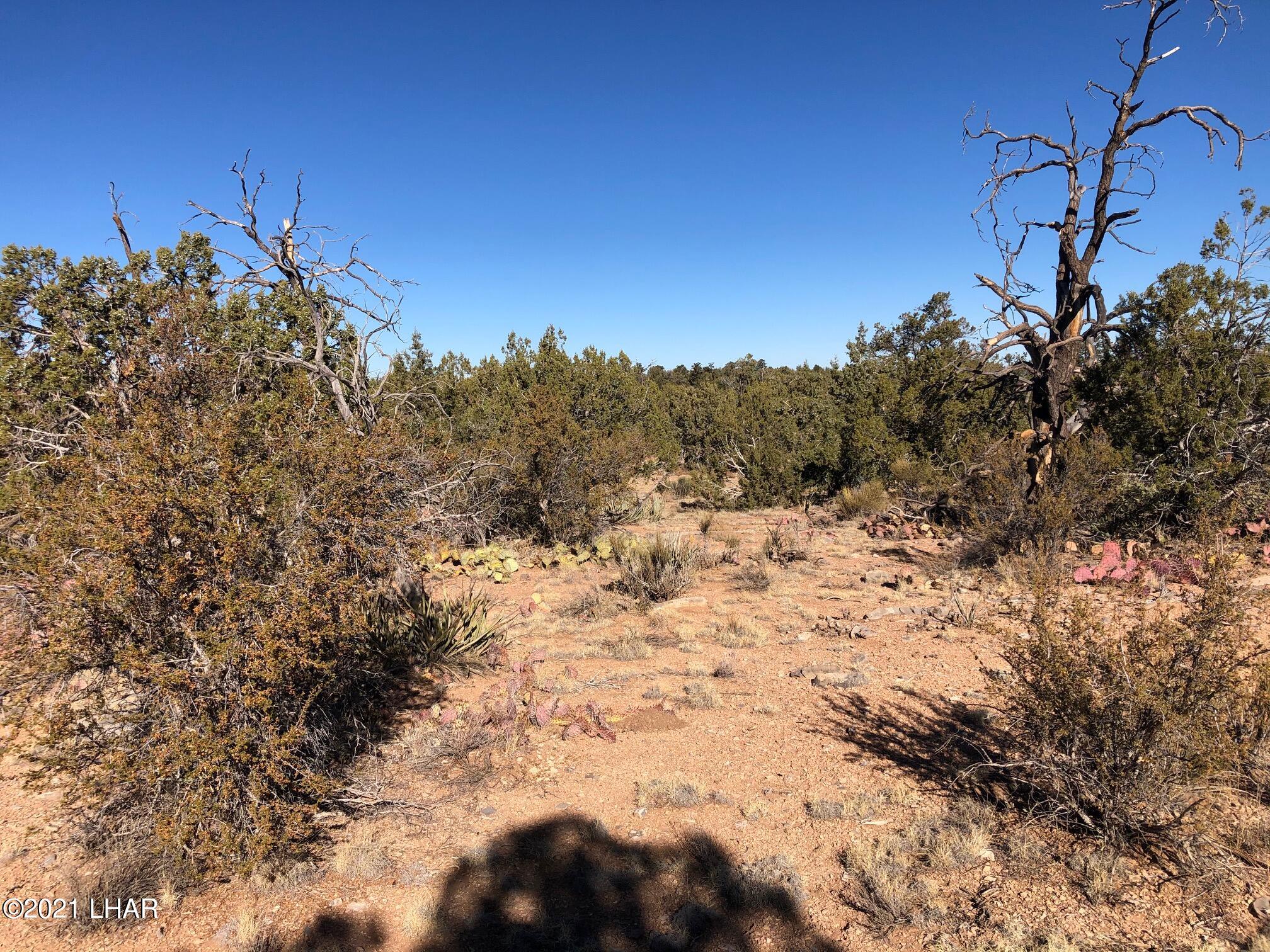 121.5 Greenview Ranch Seligman, AZ 86337 - Photo 15 of 24 IMG_7545
