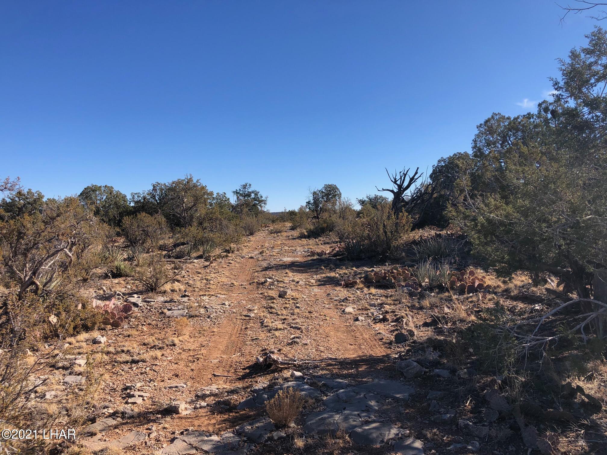 121.5 Greenview Ranch Seligman, AZ 86337 - Photo 17 of 24 IMG_7547