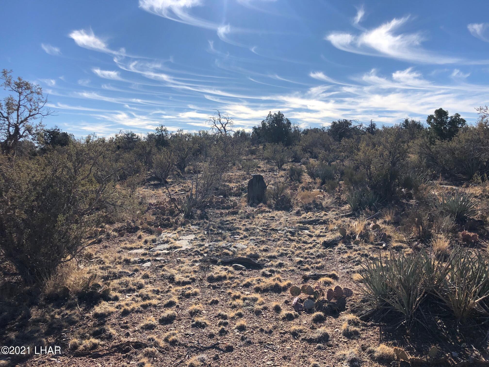 121.5 Greenview Ranch Seligman, AZ 86337 - Photo 19 of 24 IMG_7549