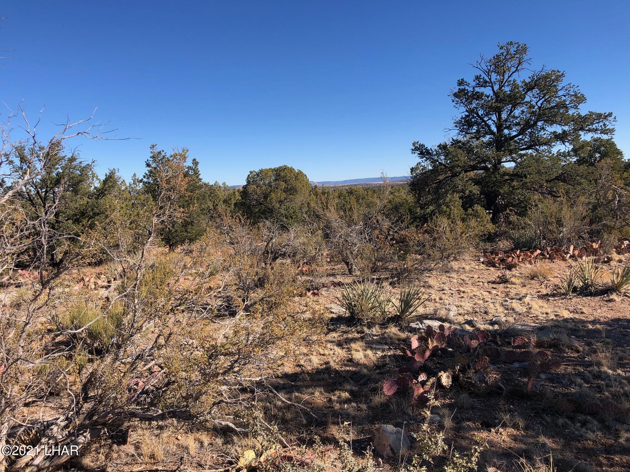 121.5 Greenview Ranch Seligman, AZ 86337 - Photo 20 of 24 IMG_7550