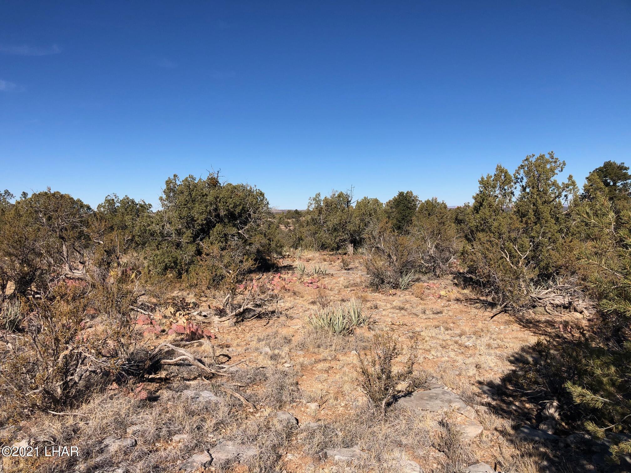 121.5 Greenview Ranch Seligman, AZ 86337 - Photo 21 of 24 IMG_7551
