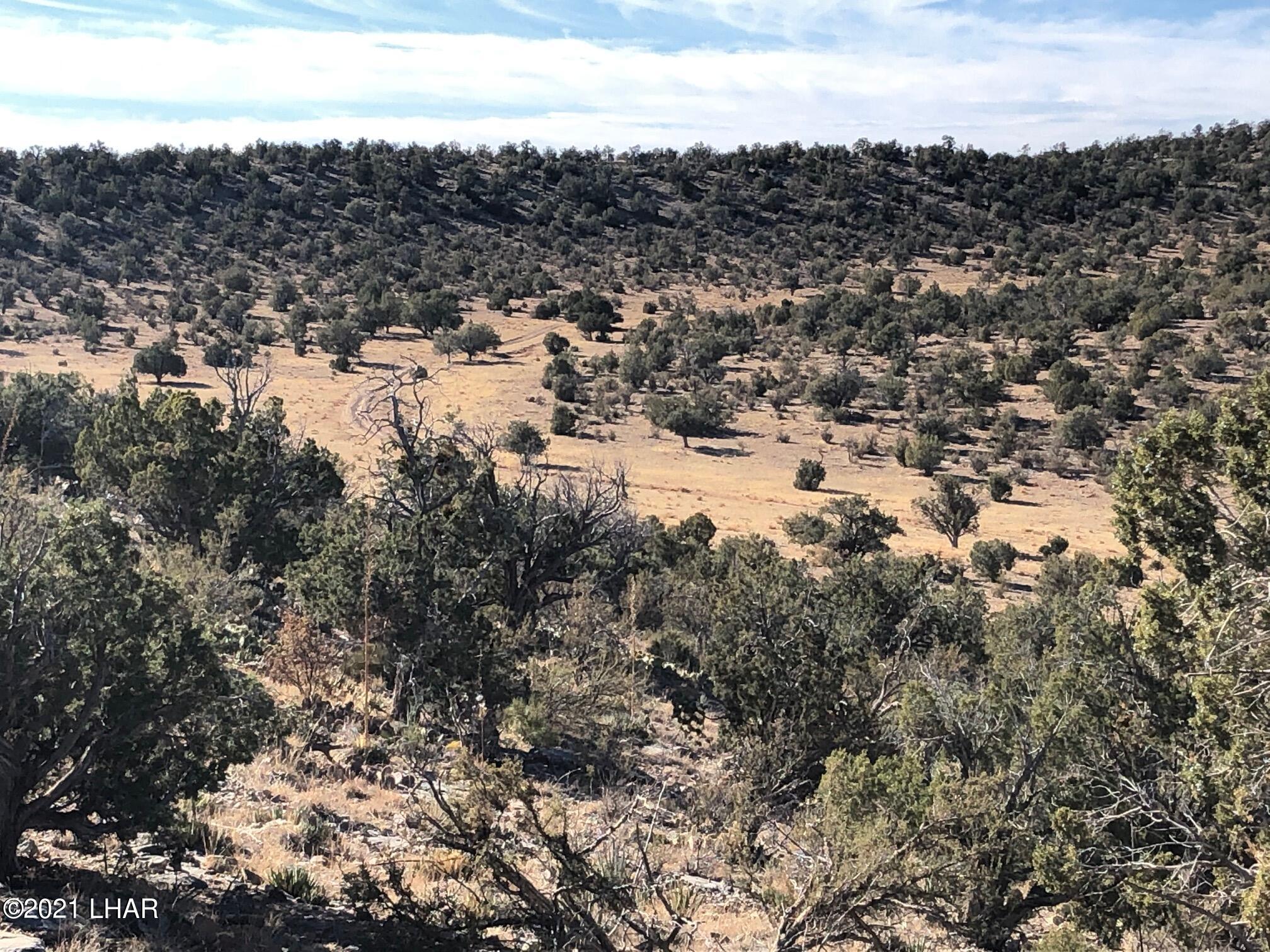 121.5 Greenview Ranch Seligman, AZ 86337 - Photo 22 of 24 IMG_7552