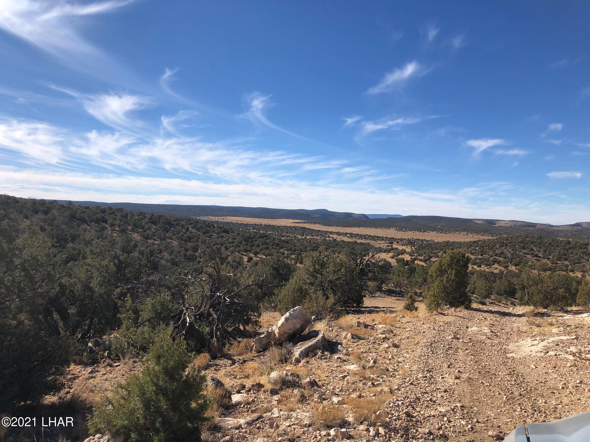 121.5 Greenview Ranch Seligman, AZ 86337 - Photo 23 of 24 IMG_7553
