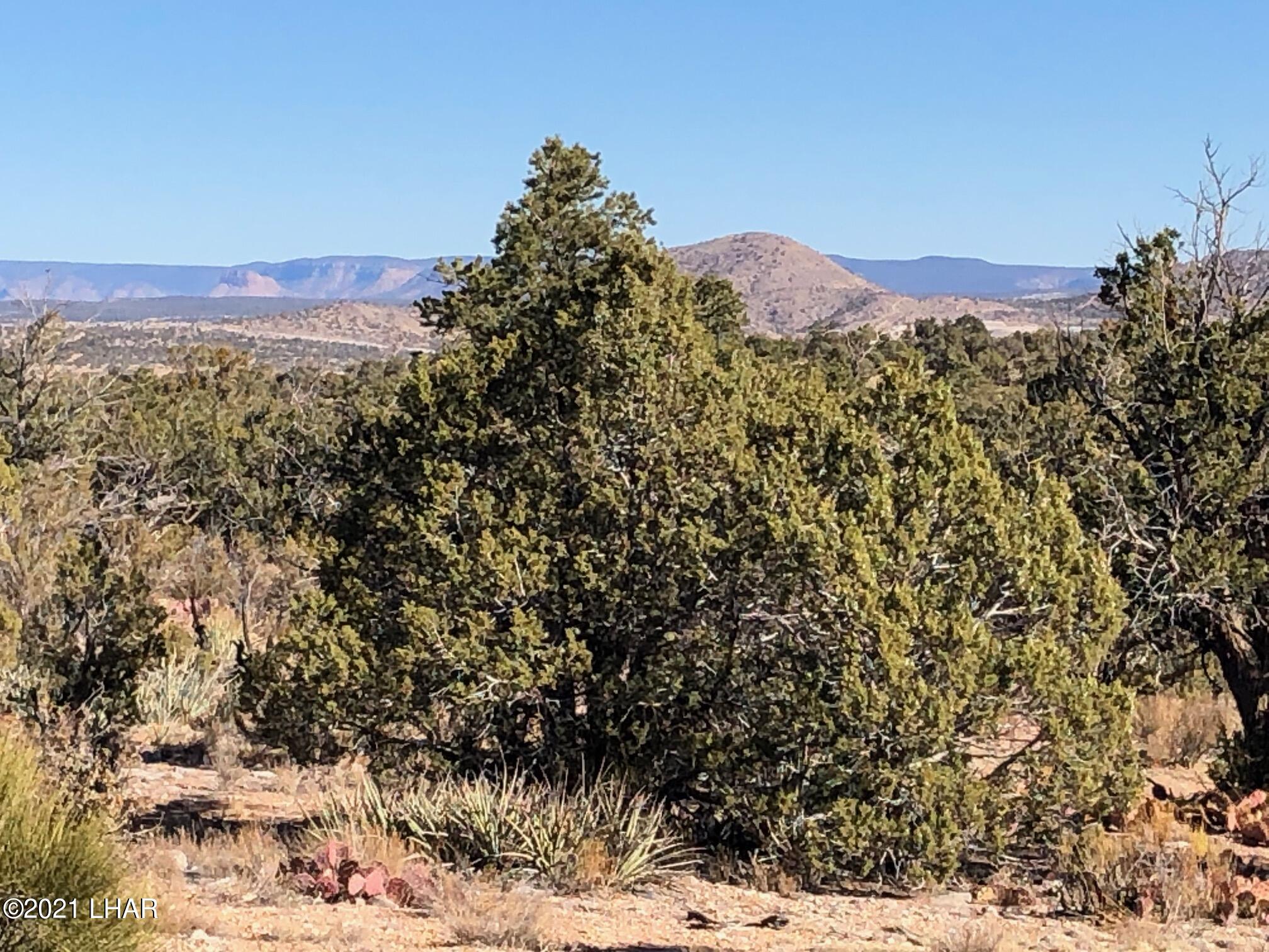 121.5 Greenview Ranch Seligman, AZ 86337 - Photo 3 of 24 IMG_7537