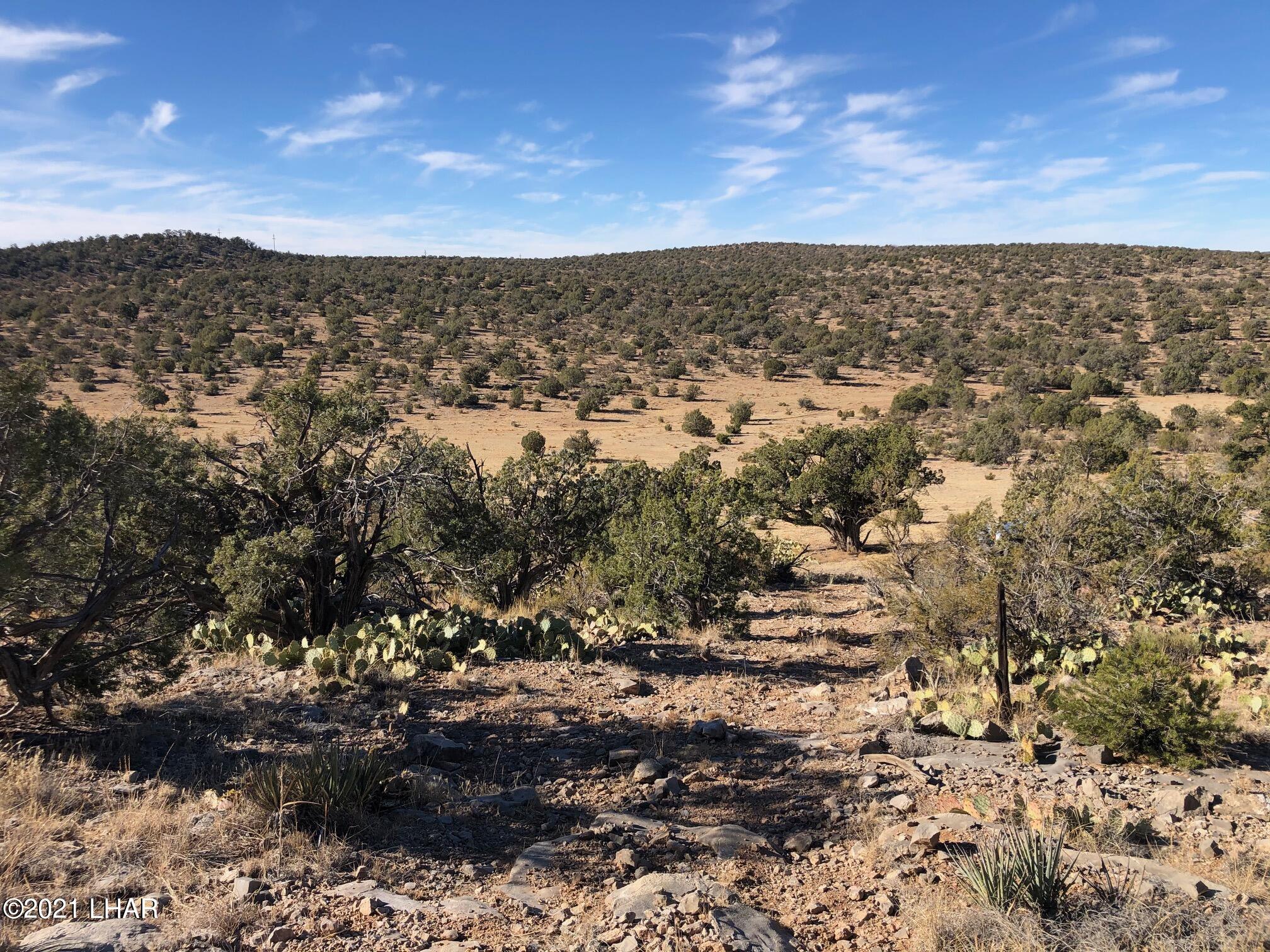121.5 Greenview Ranch Seligman, AZ 86337 - Photo 4 of 24 IMG_7534