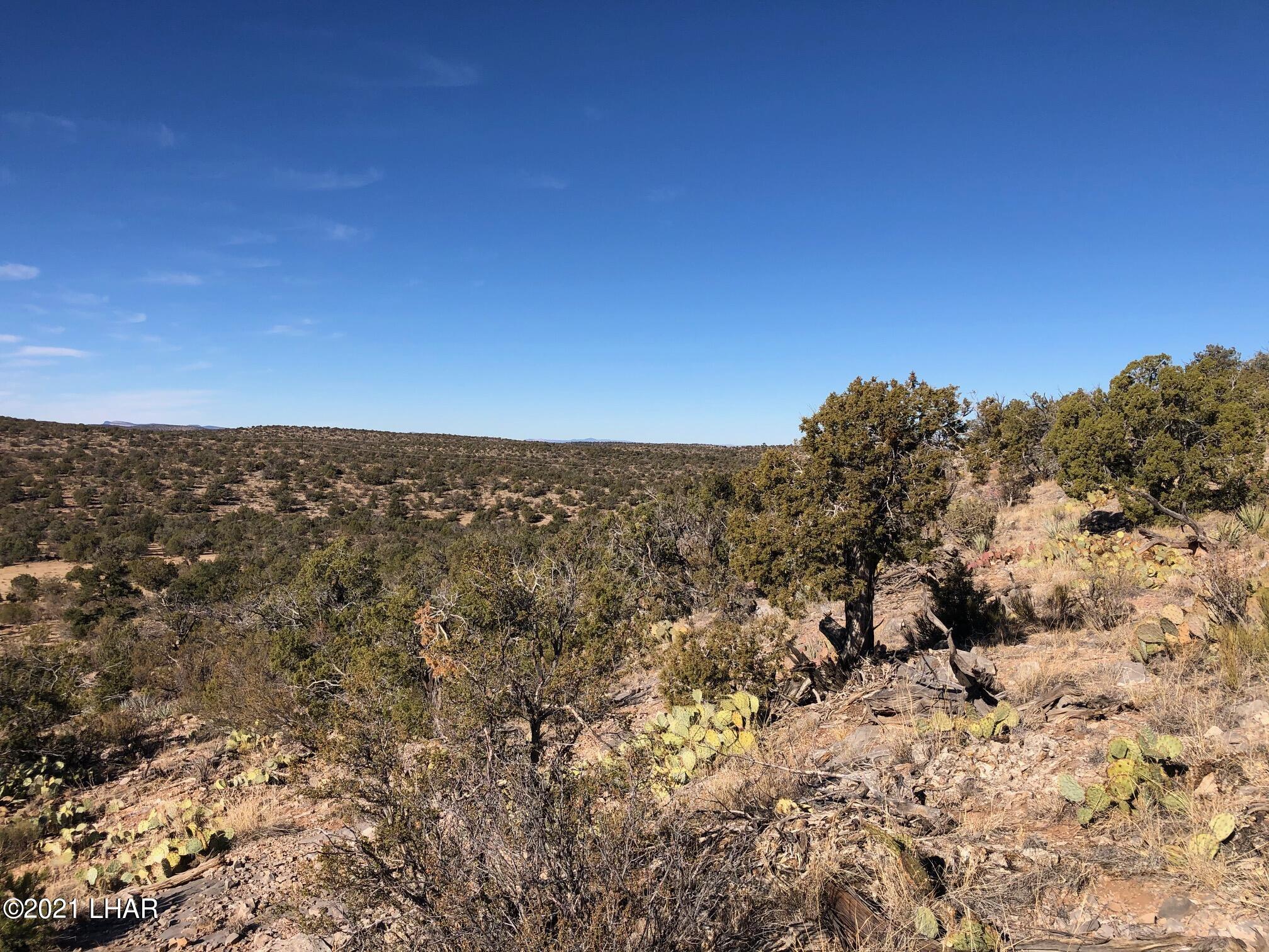 121.5 Greenview Ranch Seligman, AZ 86337 - Photo 5 of 24 IMG_7535
