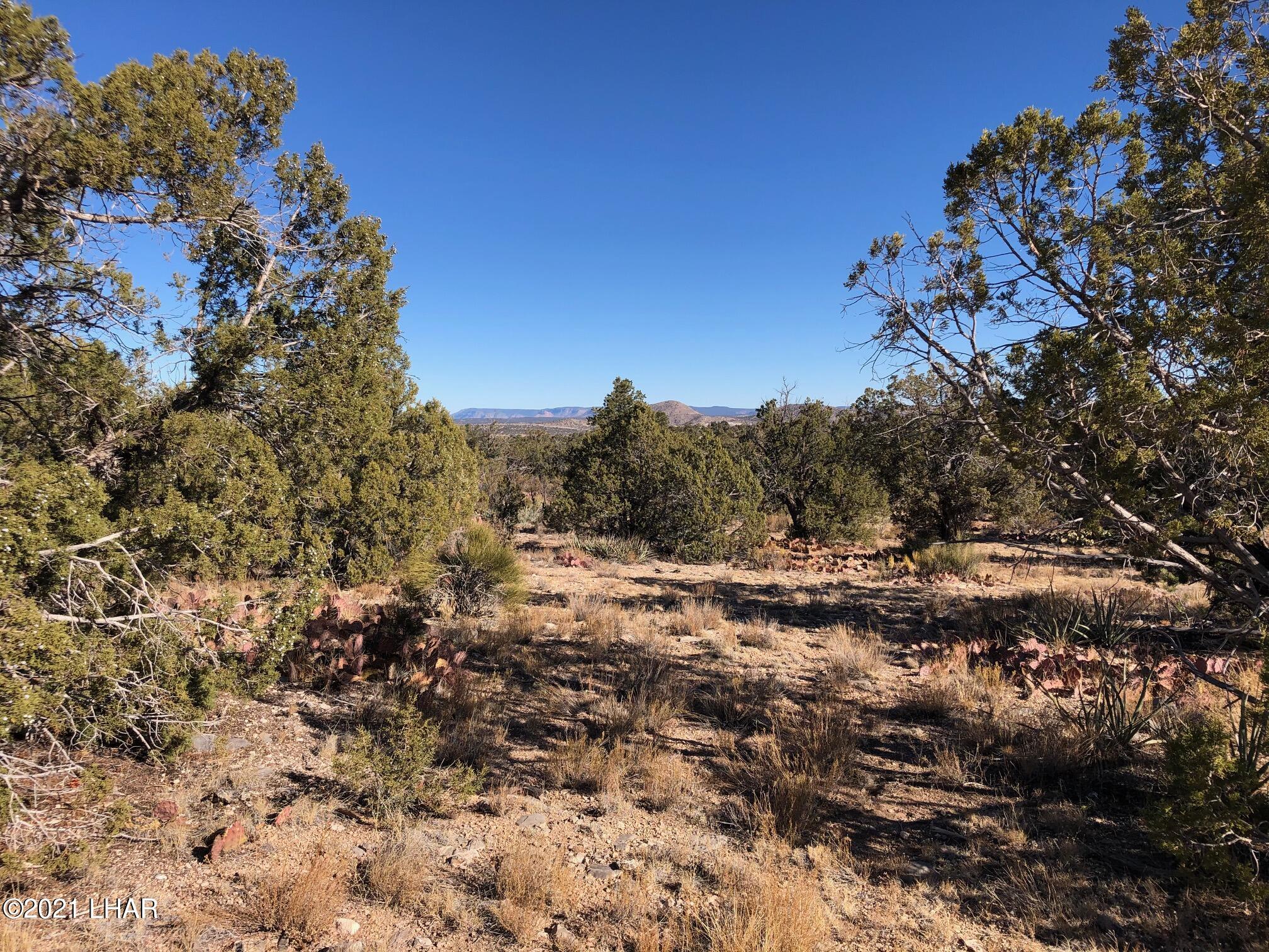 121.5 Greenview Ranch Seligman, AZ 86337 - Photo 6 of 24 IMG_7536