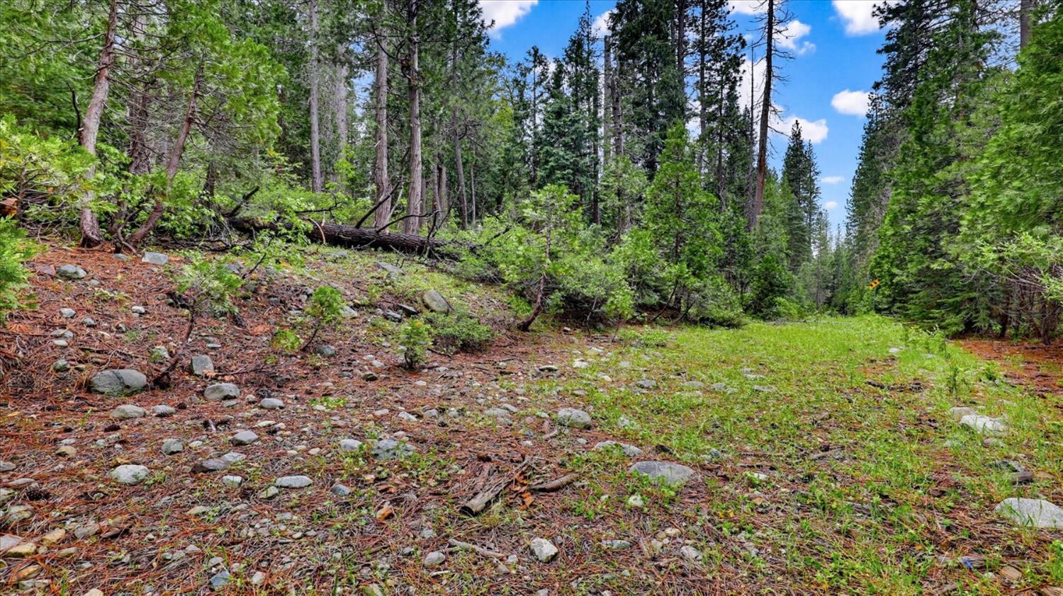 0 Texas Hill Road Emigrant Gap, CA 95715 - Photo 8 of 24