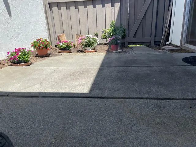 two potted plants sitting in front of a door