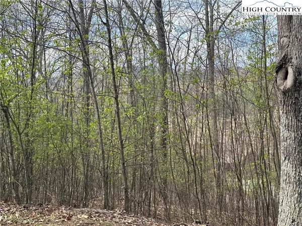 $49,900 | 24 East Landing Ridge Circle, Jefferson, NC 28640