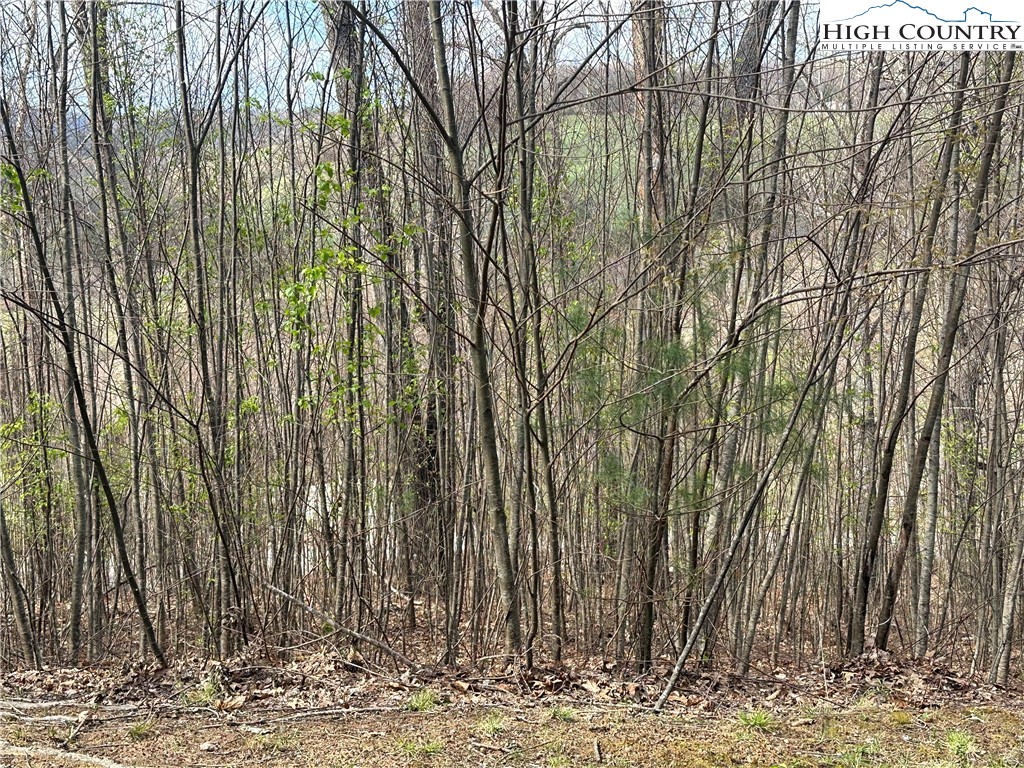 24 East Landing Ridge Circle Jefferson, NC 28640 - Photo 2 of 11