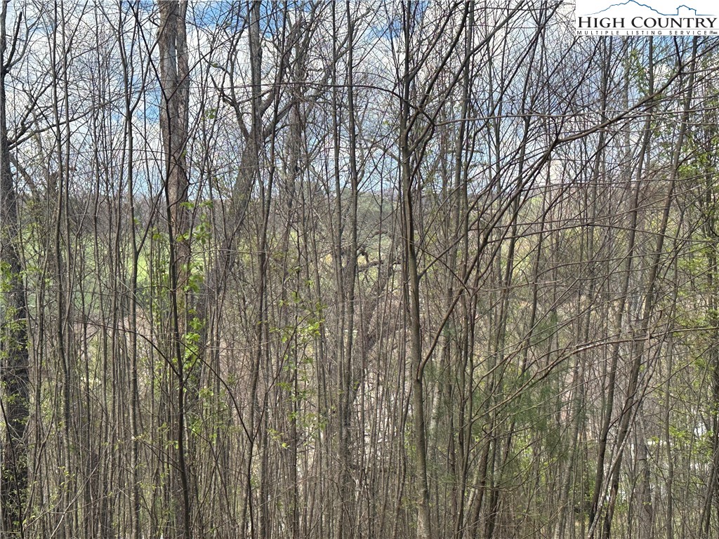 24 East Landing Ridge Circle Jefferson, NC 28640 - Photo 3 of 11