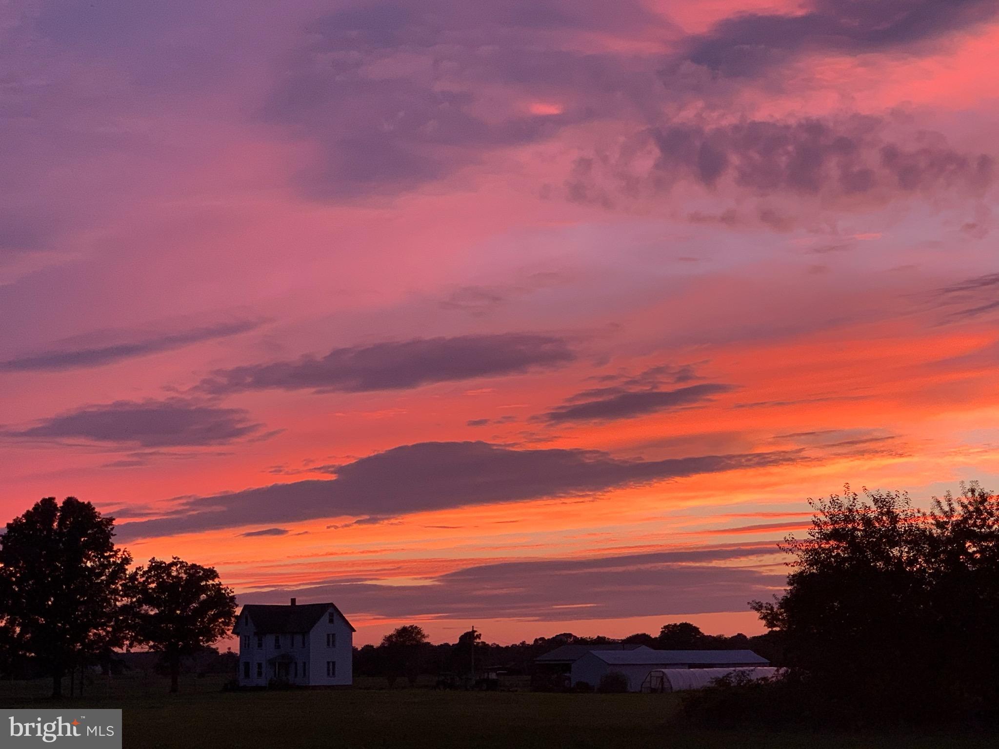 6 Beasley Neck Road Salem, NJ 08079 - Photo 60 of 63