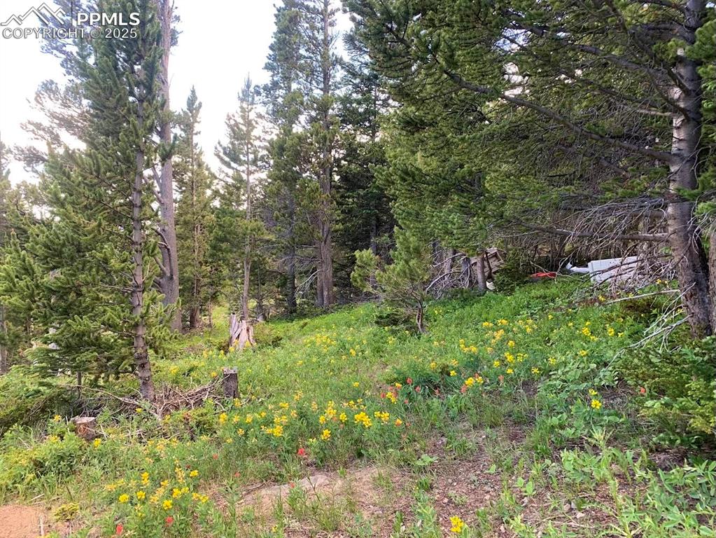 Hilltop Road Idaho Springs, CO 80452 - Photo 11 of 13