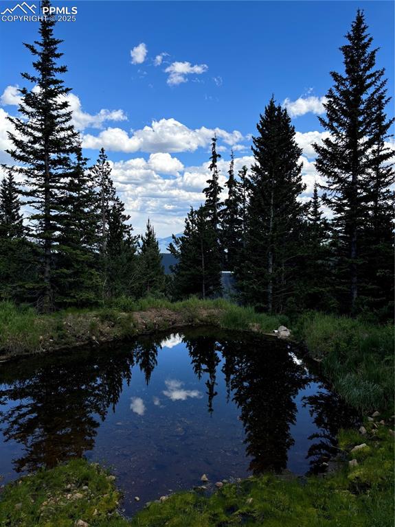 Hilltop Road Idaho Springs, CO 80452 - Photo 12 of 13