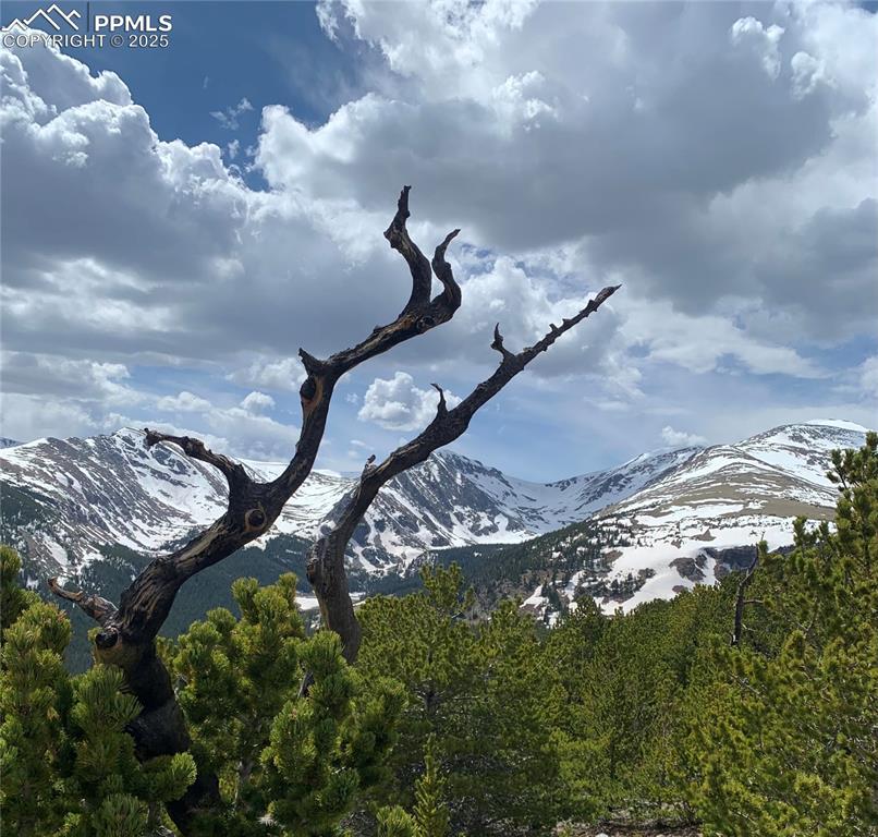 Hilltop Road Idaho Springs, CO 80452 - Photo 13 of 13