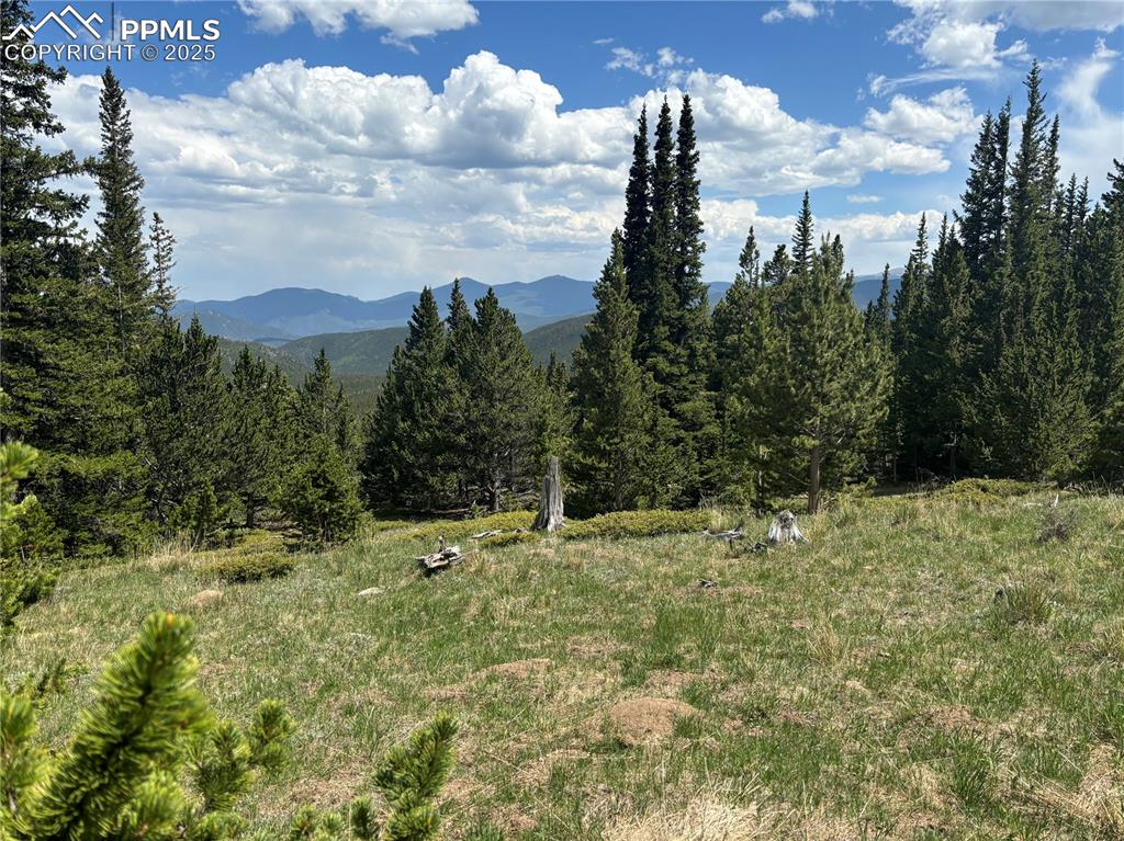 Hilltop Road Idaho Springs, CO 80452 - Photo 4 of 13