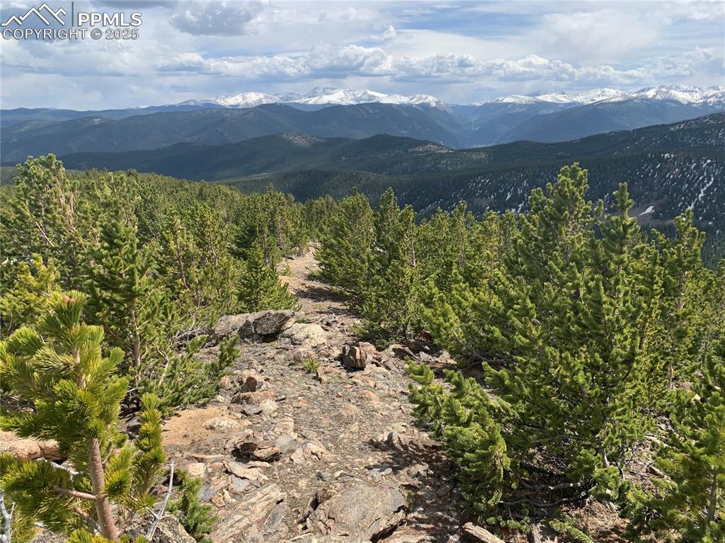 Hilltop Road Idaho Springs, CO 80452 - Photo 8 of 13