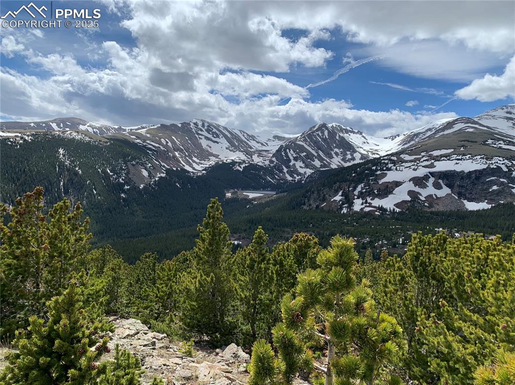 Hilltop Road Idaho Springs, CO 80452 - Photo 10 of 13