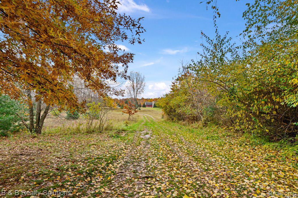 4039 Jefferson Road North Branch, MI 48461 - Photo 34 of 35