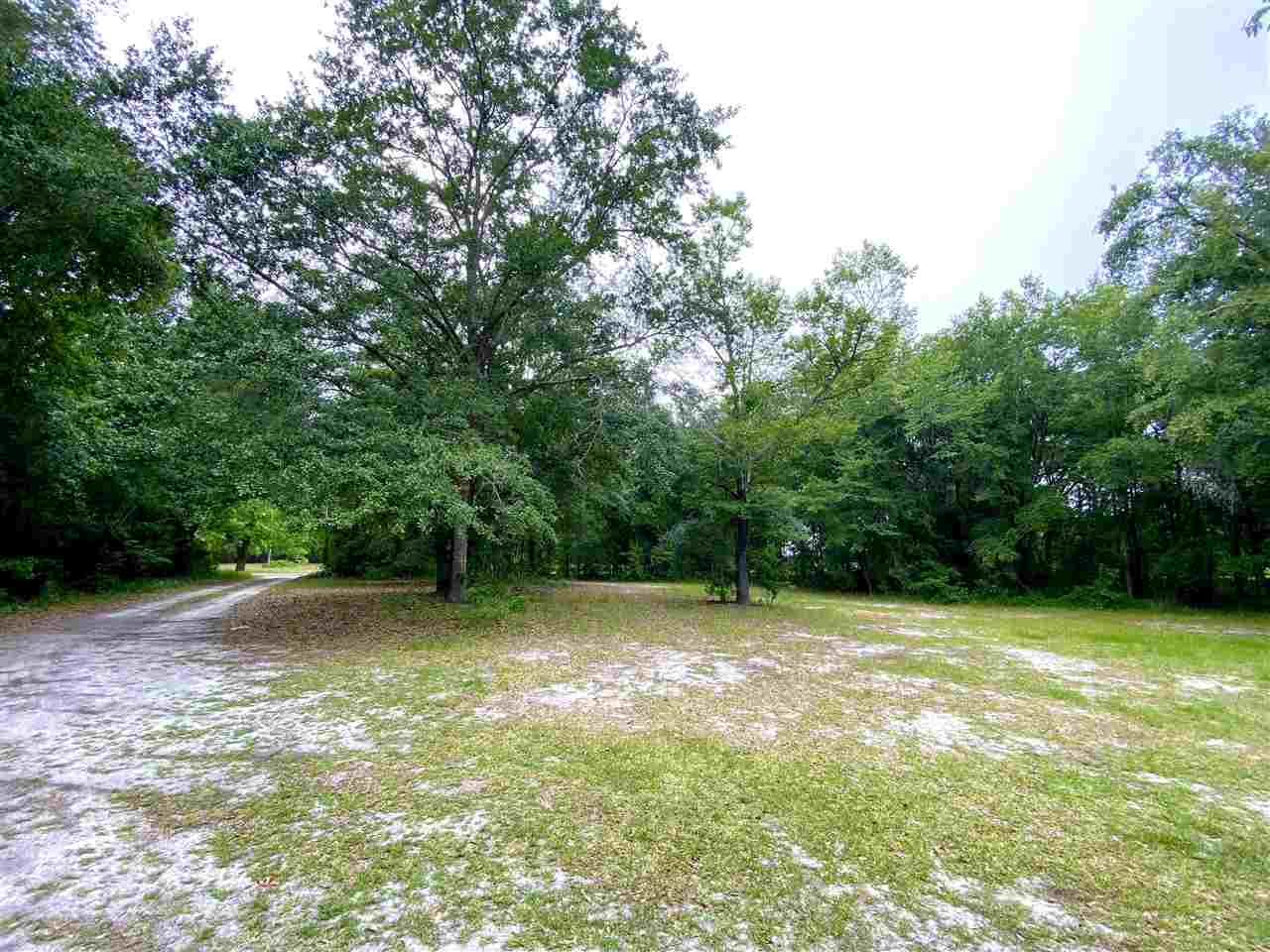 11450 177th Road Live Oak, FL 32060 - Photo 2 of 4 Gallery Image 2