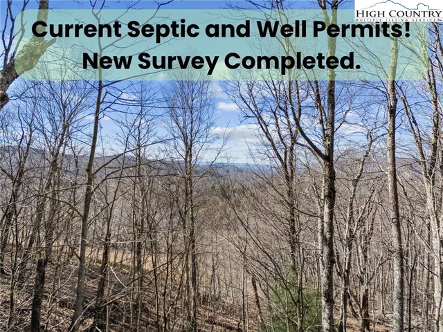 a view of a backyard with large trees