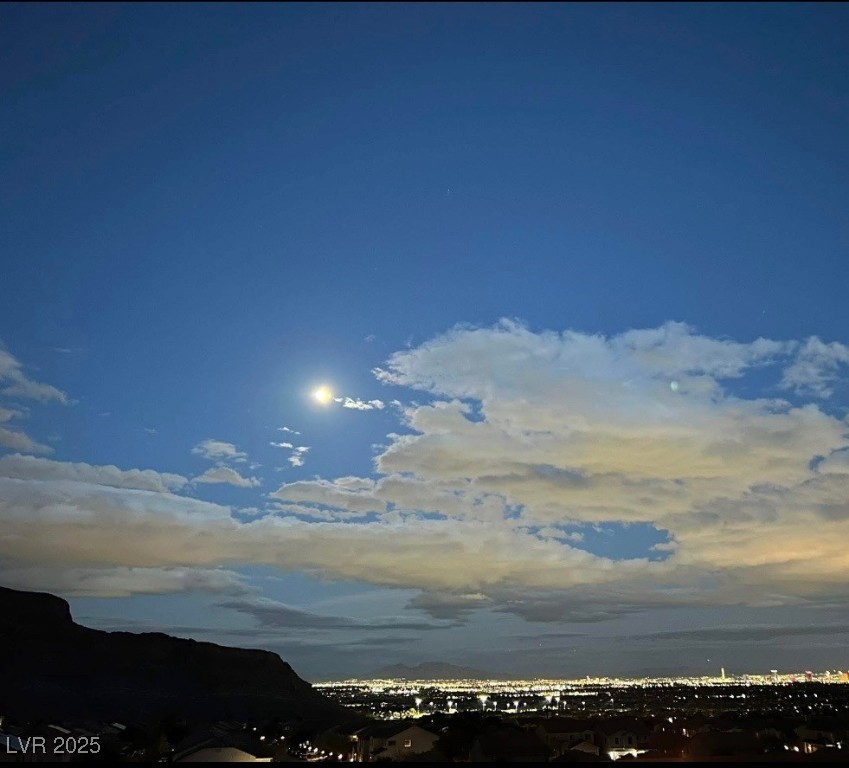 10550 West Alexander Road, Unit 2040 Las Vegas, NV 89129 - Photo 17 of 25