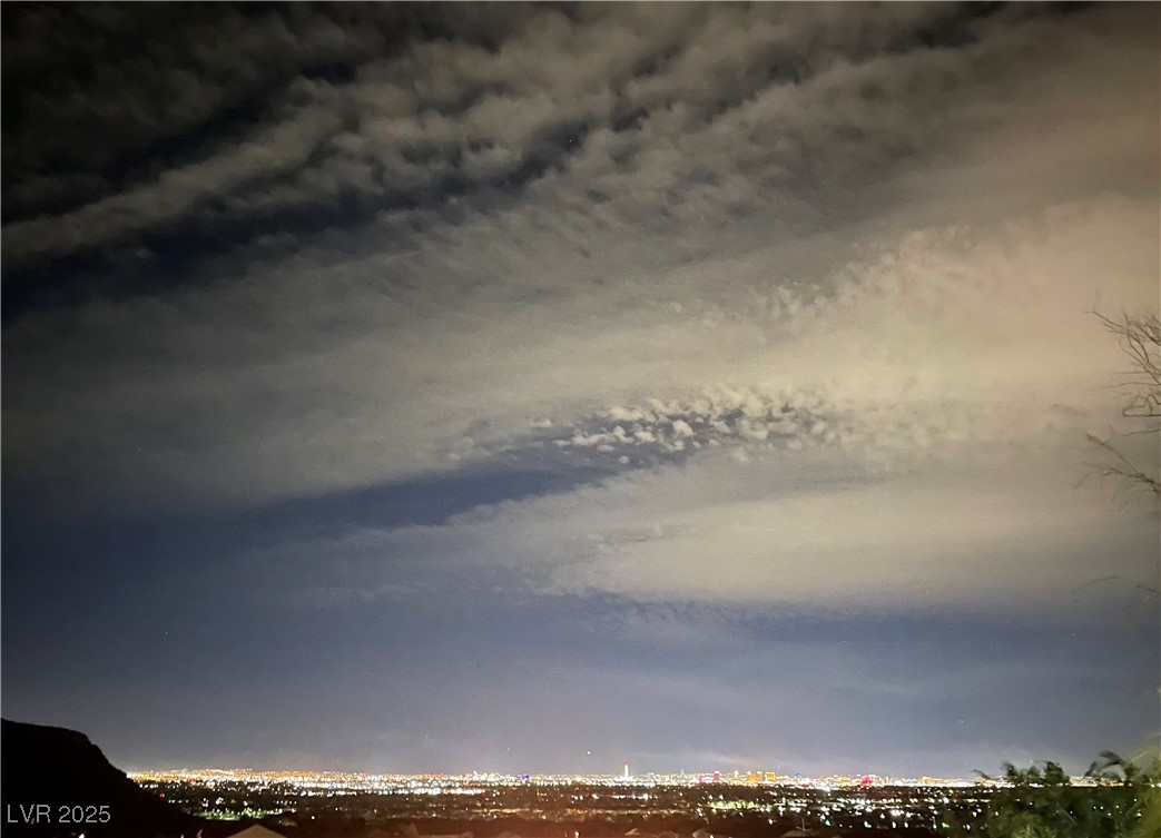 10550 West Alexander Road, Unit 2040 Las Vegas, NV 89129 - Photo 20 of 25