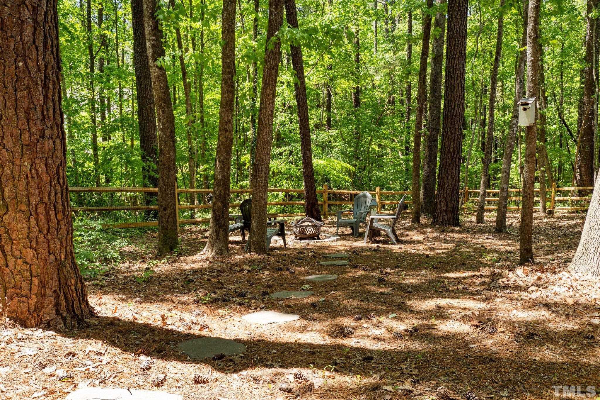 5 St James Court Durham, NC 27713 - Photo 37 of 44 a view of a yard with plants and trees