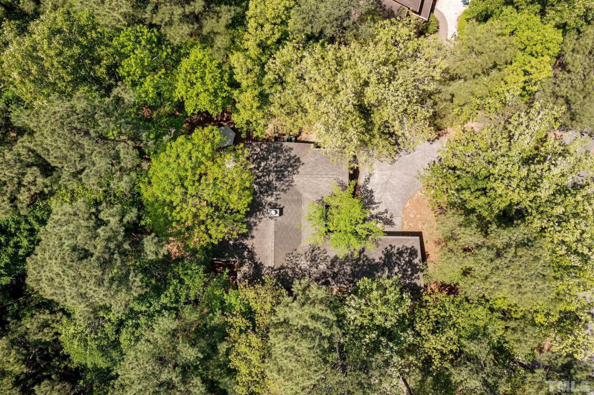 5 St James Court Durham, NC 27713 - Photo 40 of 44 a plant view