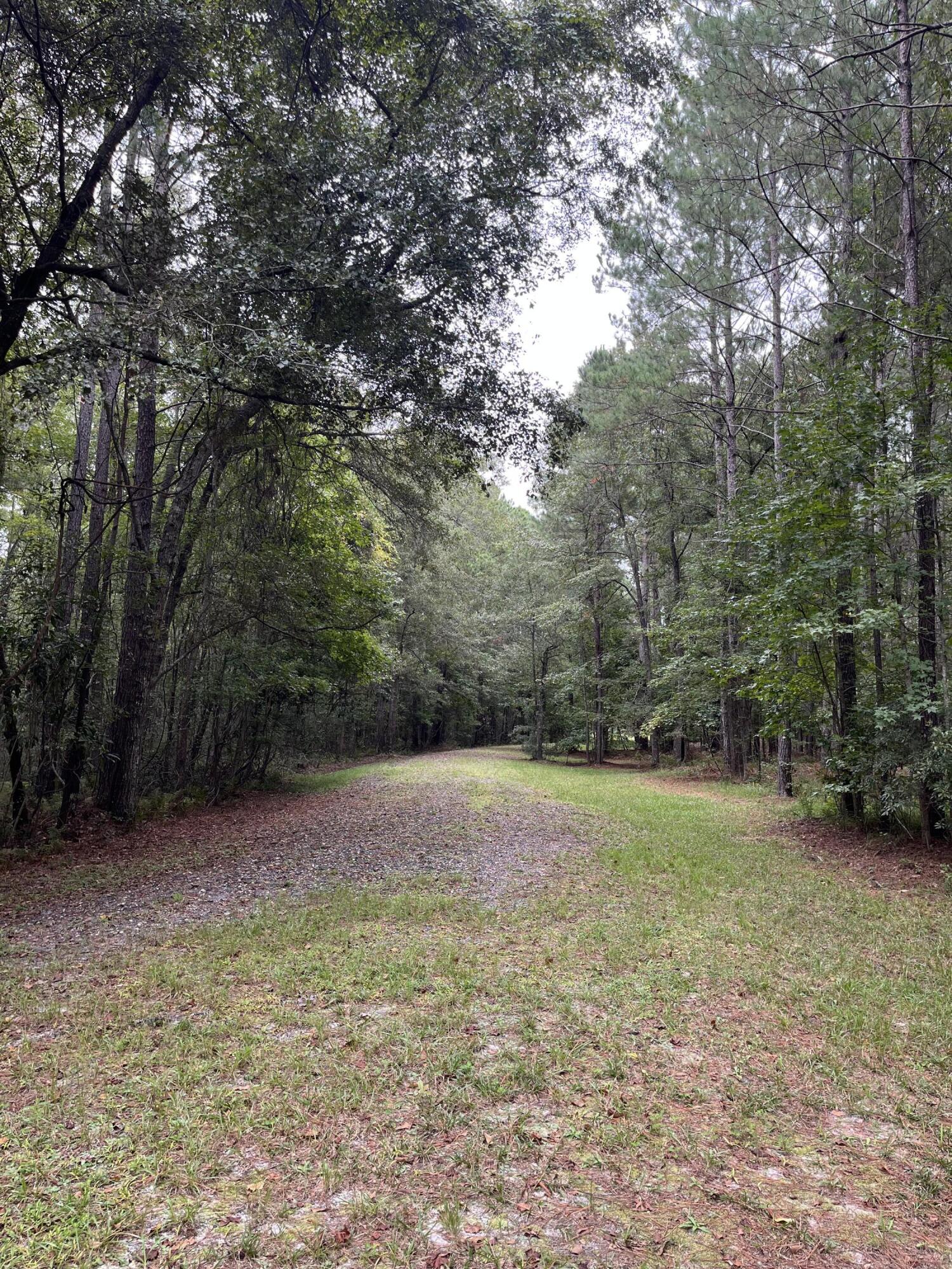 Lot 6 Bay Pond Road Ravenel, SC 29470 - Photo 4 of 6 IMG_0751