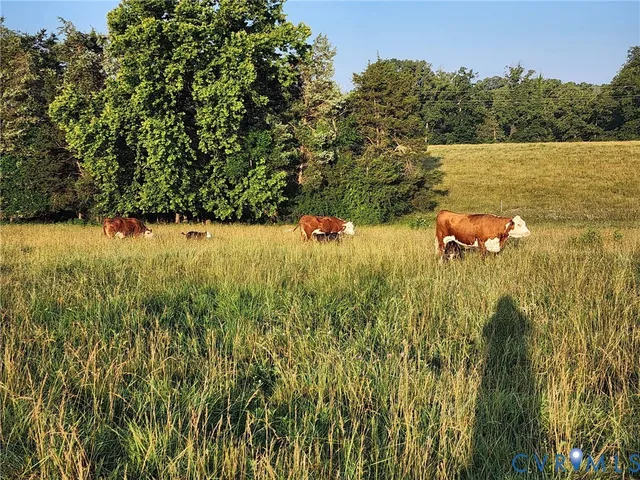 a dining room with wooden floor a chandelier a rug a fireplace and a chandelier