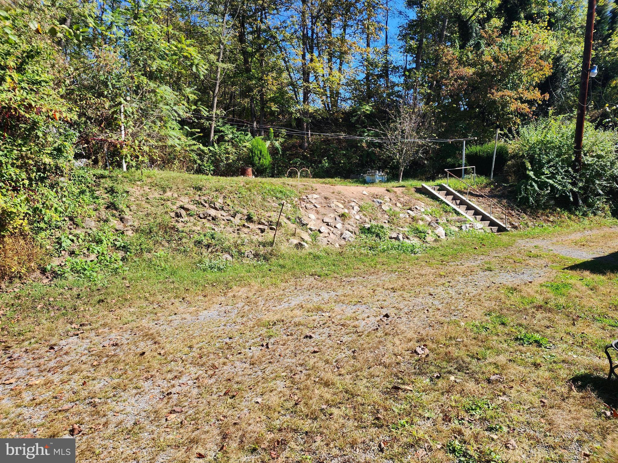 13214 Oldtown Road Southeast Cumberland, MD 21502 - Photo 10 of 15 a view of a yard with trees