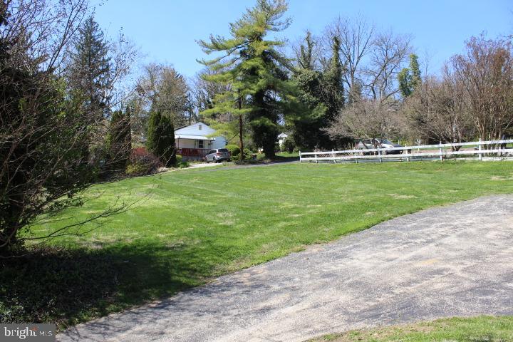 a view of a garden with large trees