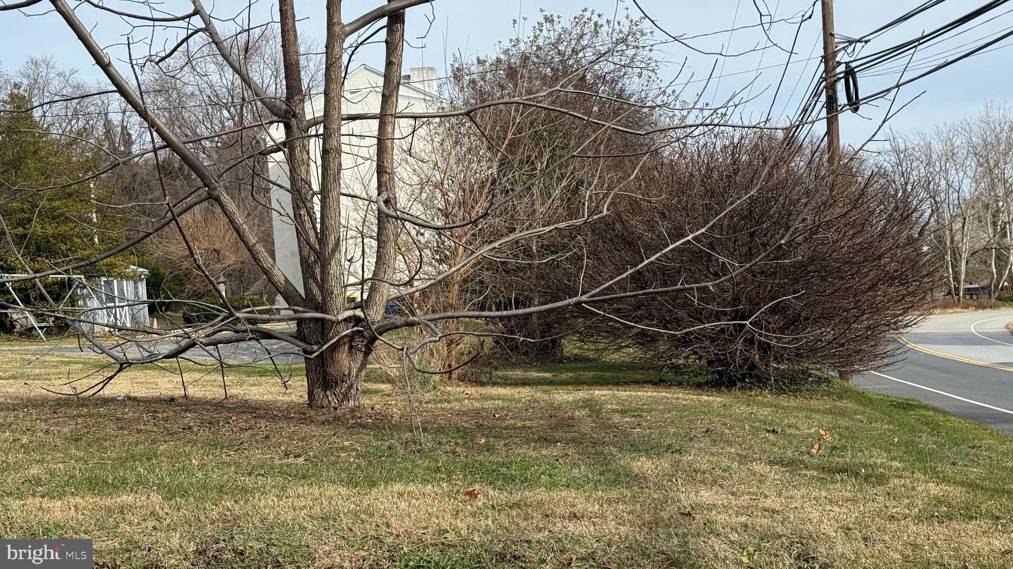 East Matsonford Road Conshohocken, PA 19428 - Photo 3 of 6 a view of a yard with a bench and trees