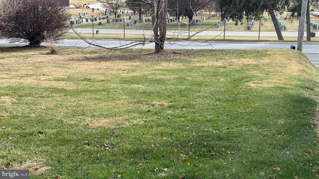 a view of a yard with a fountain